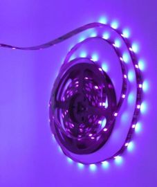 নমনীয় জীবাণুমুক্ত আলোর LED স্ট্রিপ হাল্কা ইসলাম SMD ও 5050 বেগুনি 24 ওয়াট অ্যাডাপ্টার